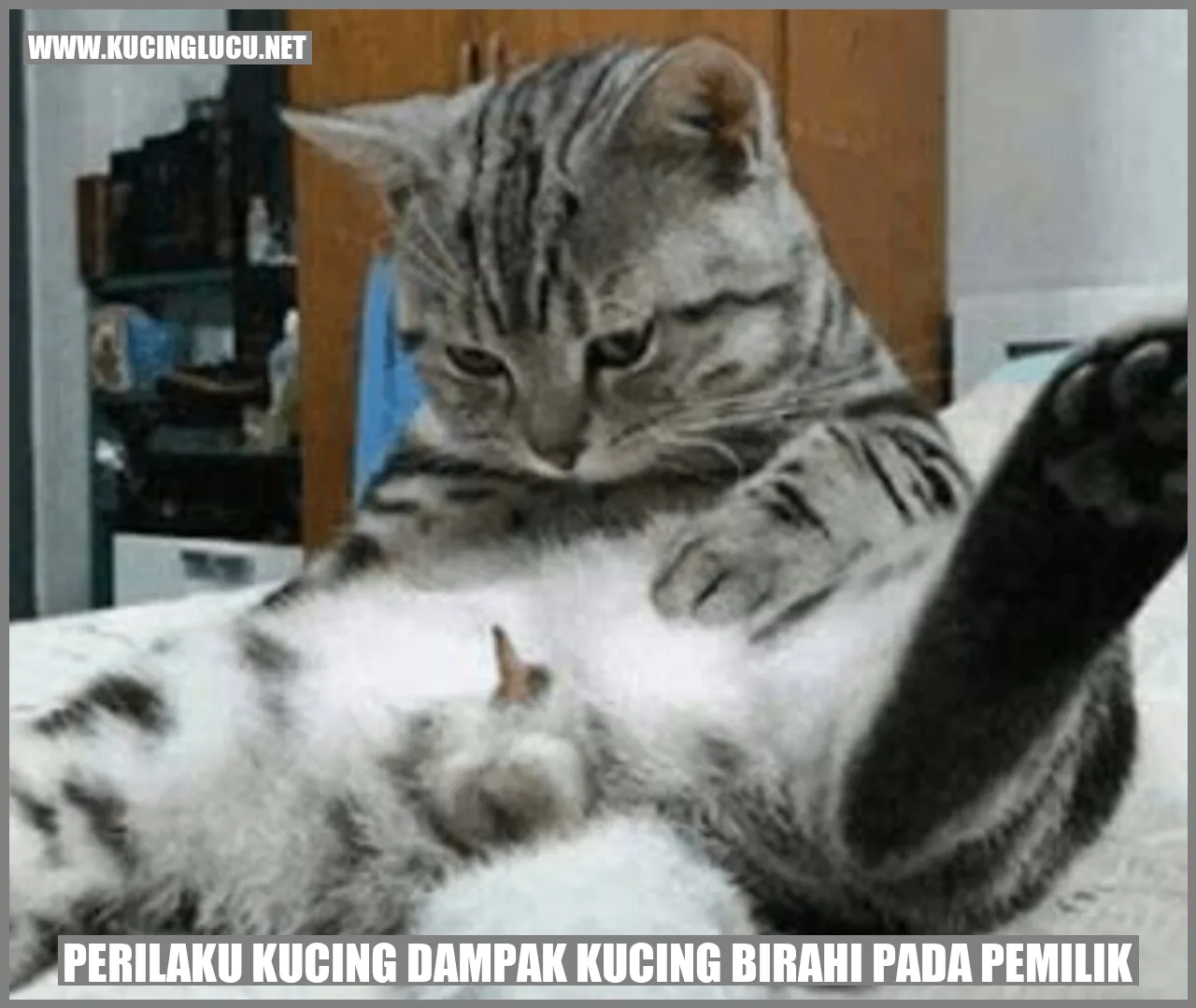 Kucing berbicara
