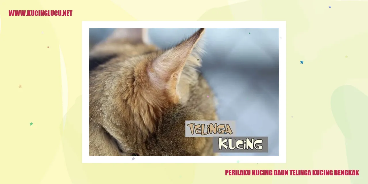 Gambar Kucing dengan Bengkak di Daun Telinga