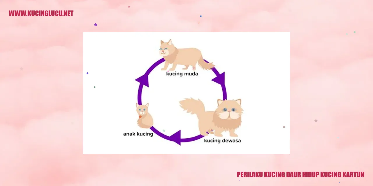Gambar Kucing Kartun