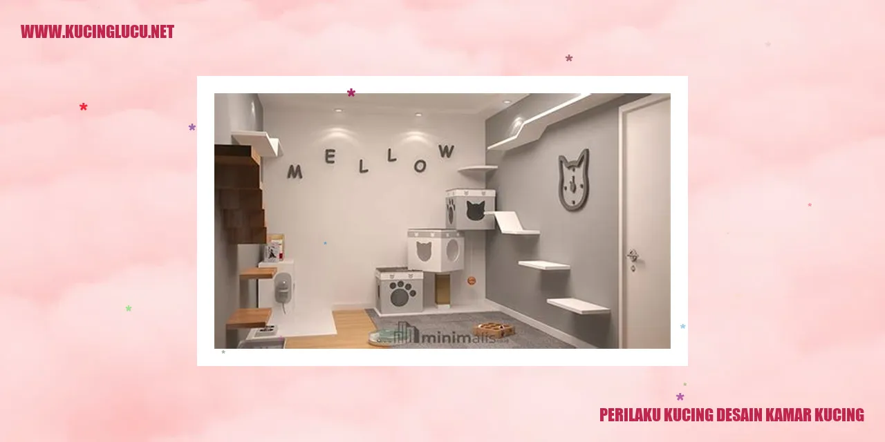 Perilaku Kucing desain kamar kucing