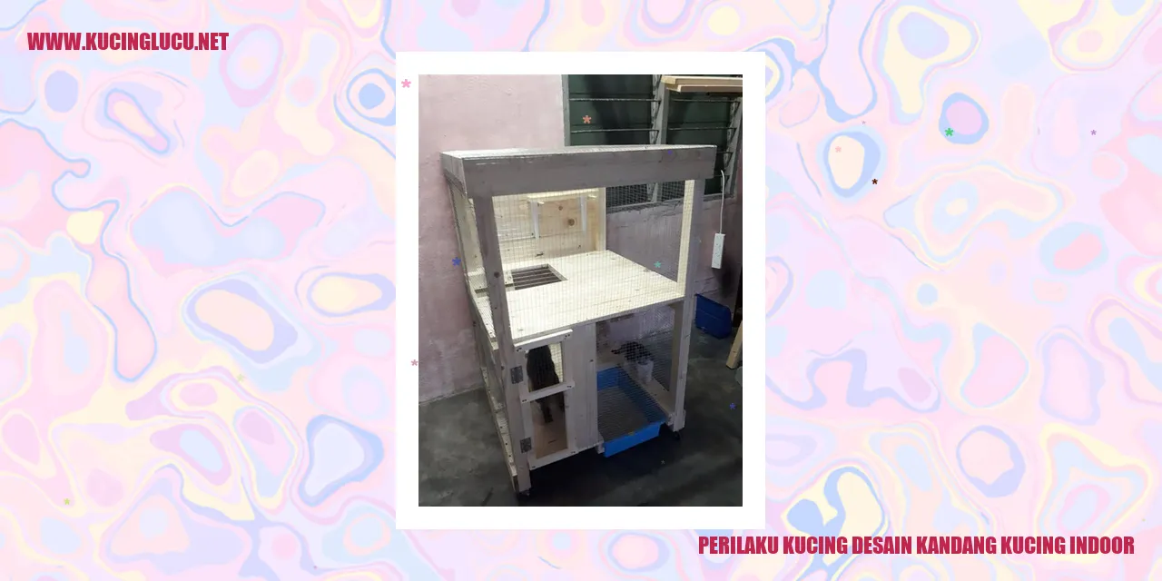 Perilaku Kucing dalam Kandang Kucing Indoor