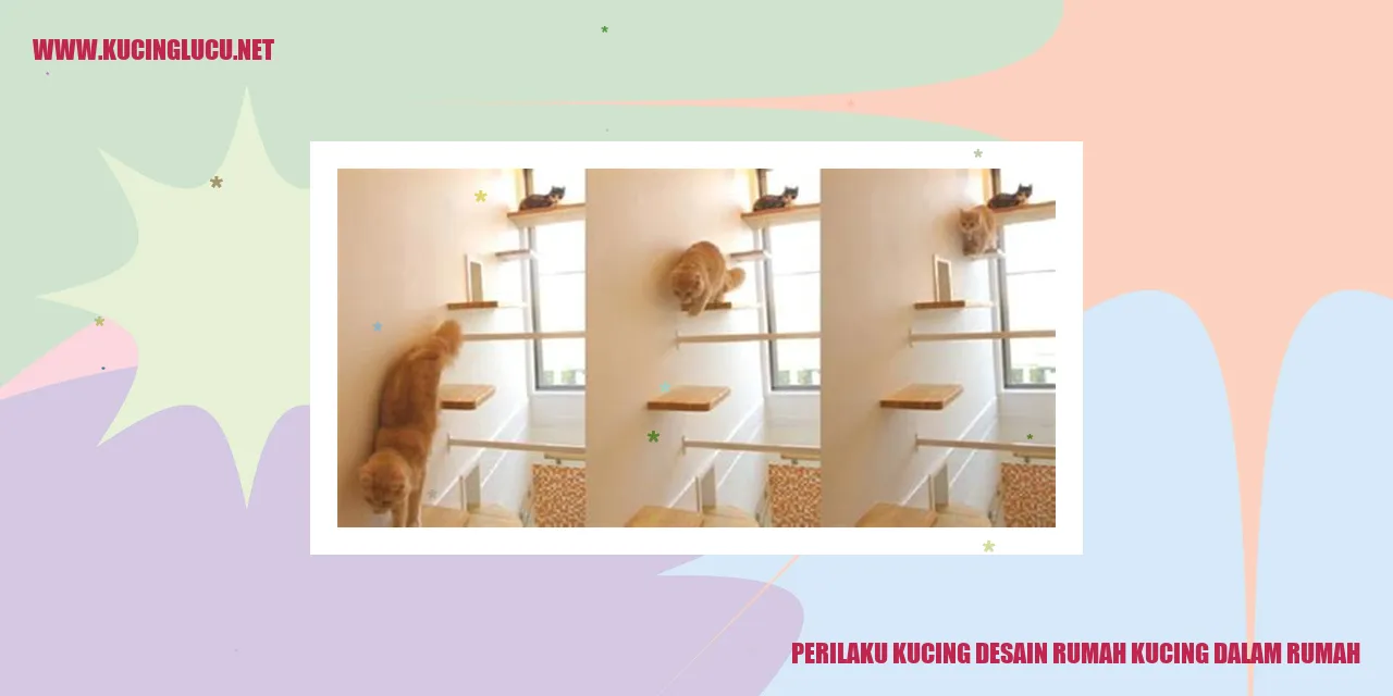 gambar kucing merancang tempat khusus di dalam rumah