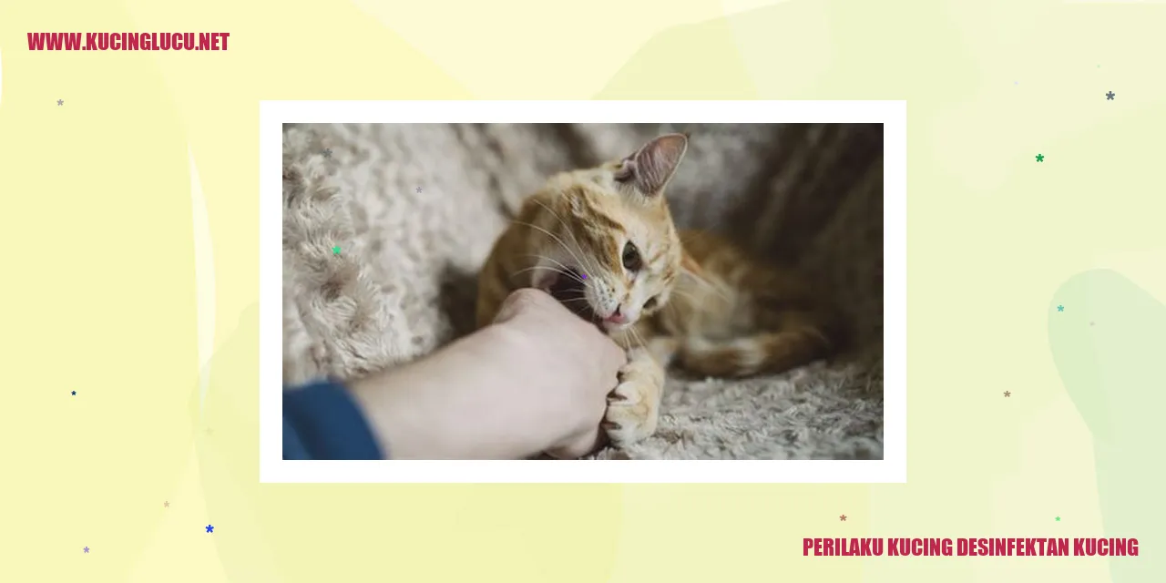 Kucing dan Pembersih Kucing