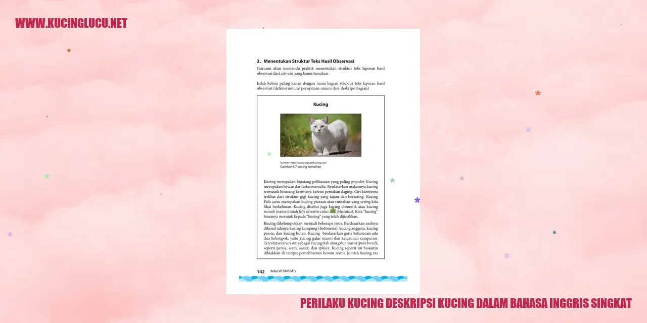 Perilaku Kucing