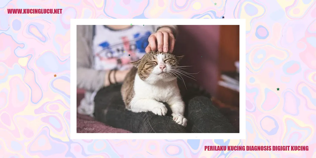 Perilaku Kucing
