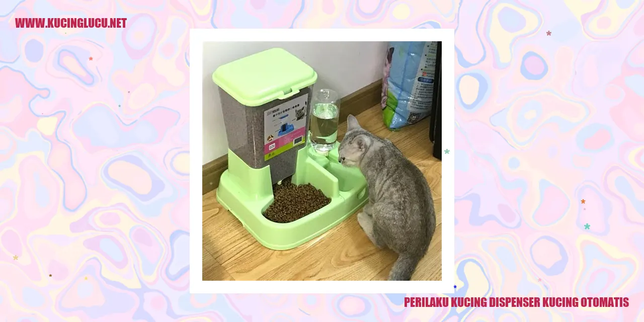 Gambar persepsi kucing tentang dispenser makanan otomatis