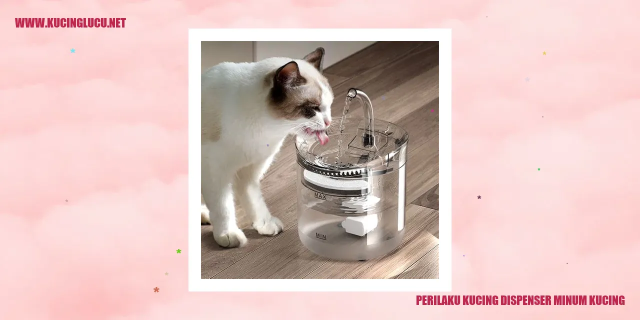 Perilaku Kucing dispenser minum kucing