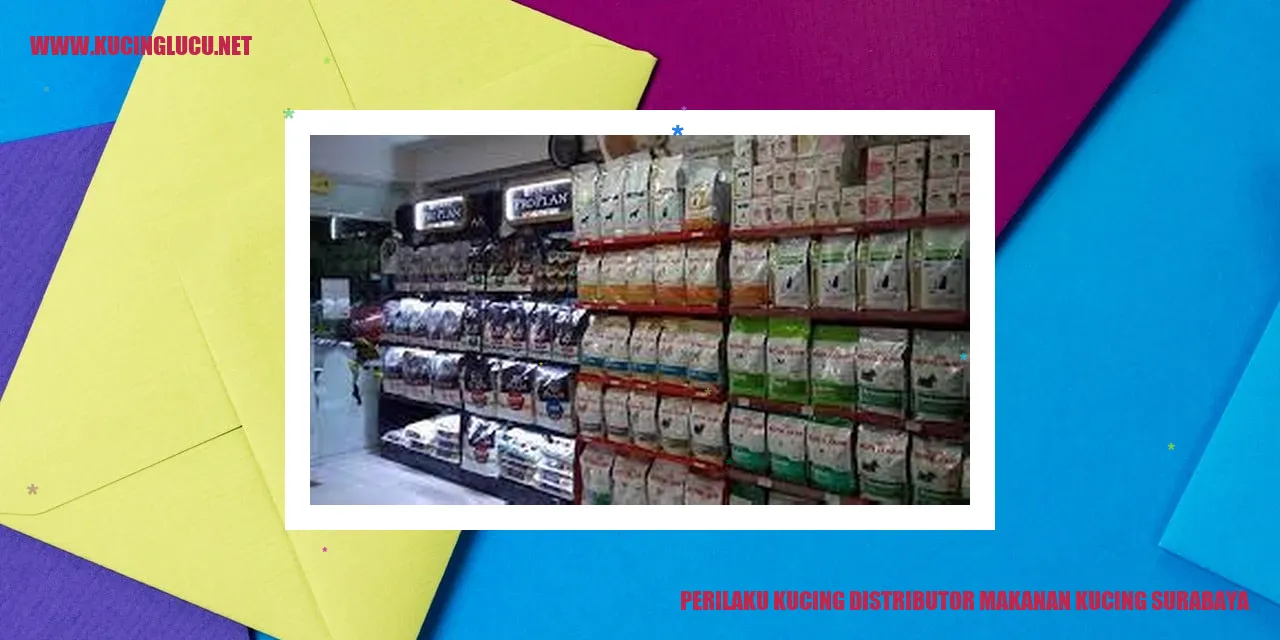 Sifat-sifat Menarik Kucing Distributor Makanan Kucing Surabaya
