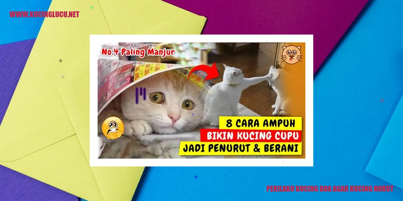 Perilaku Kucing
