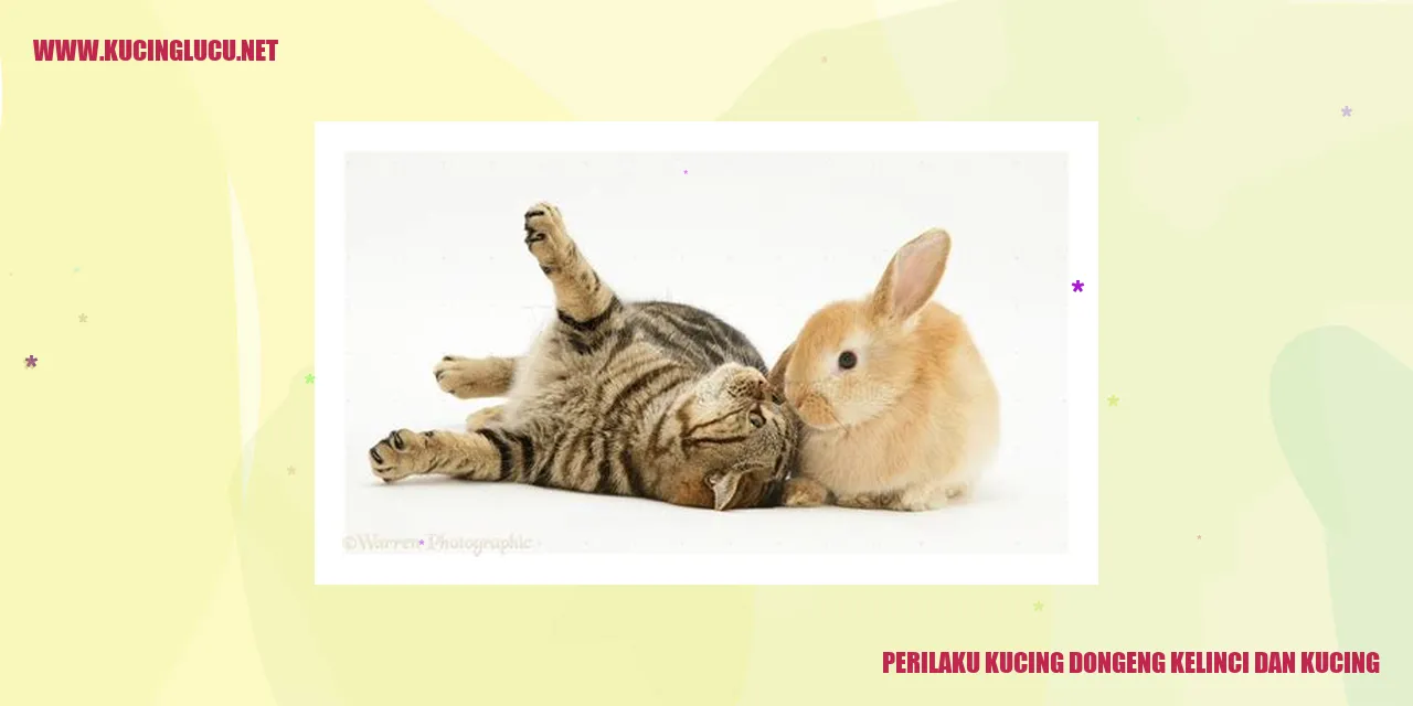 Perilaku Kucing Dongeng Kelinci dan Kucing