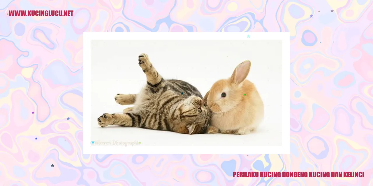 Perilaku Kucing dalam Dongeng Kucing dan Kelinci
