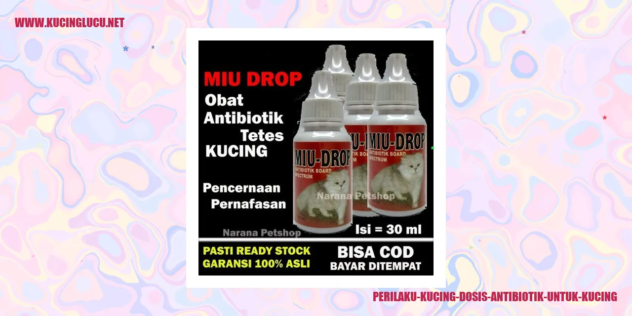 Kucing dengan antibiotik