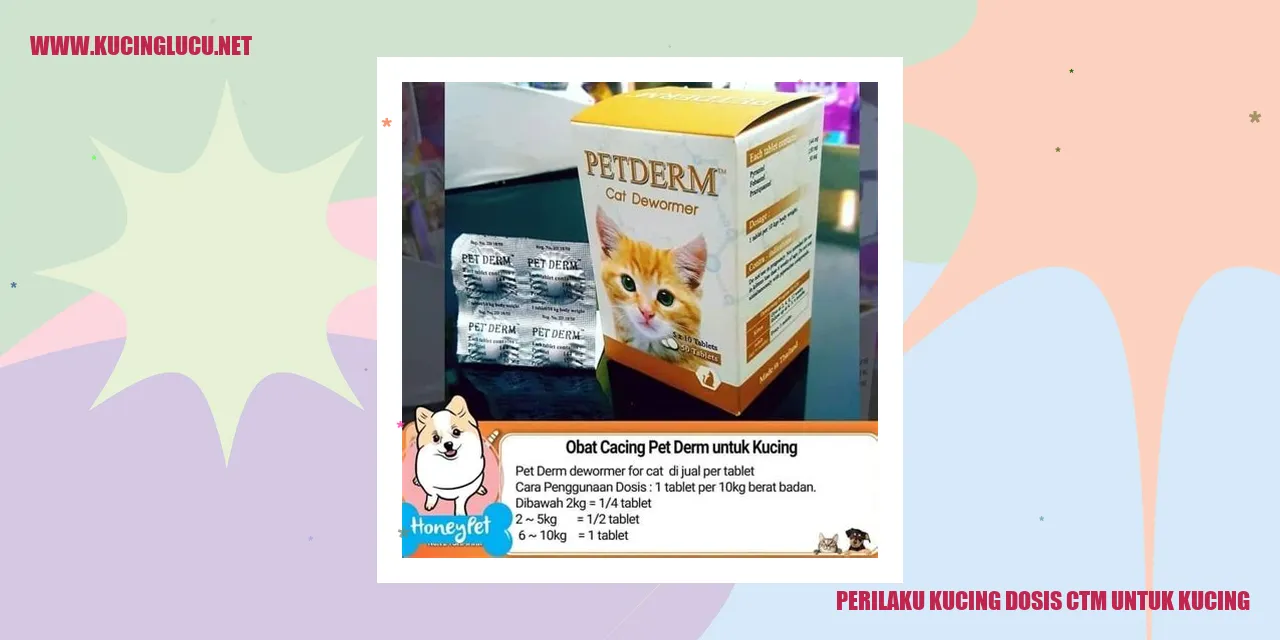 Perilaku Kucing