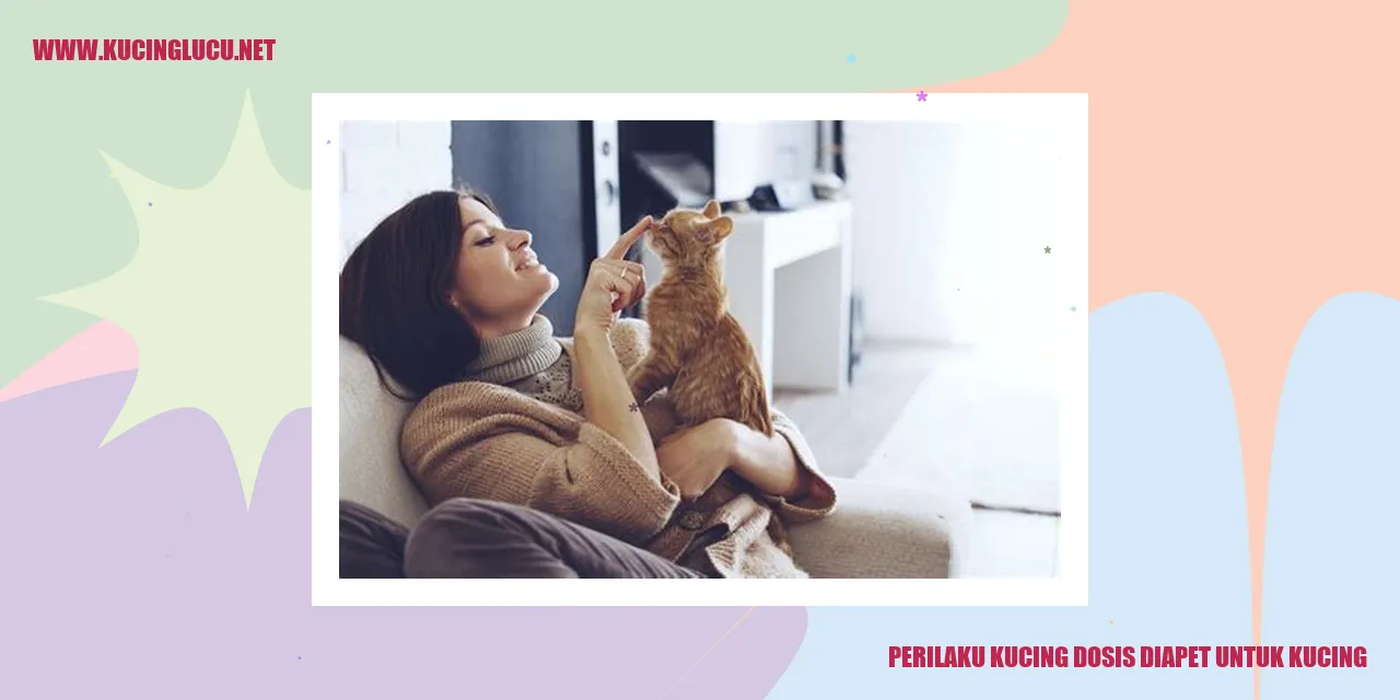 Gambar Kucing