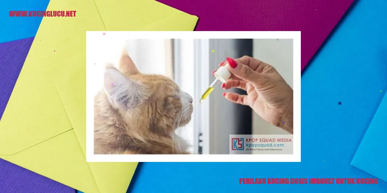 Gambar Kucing yang Lucu