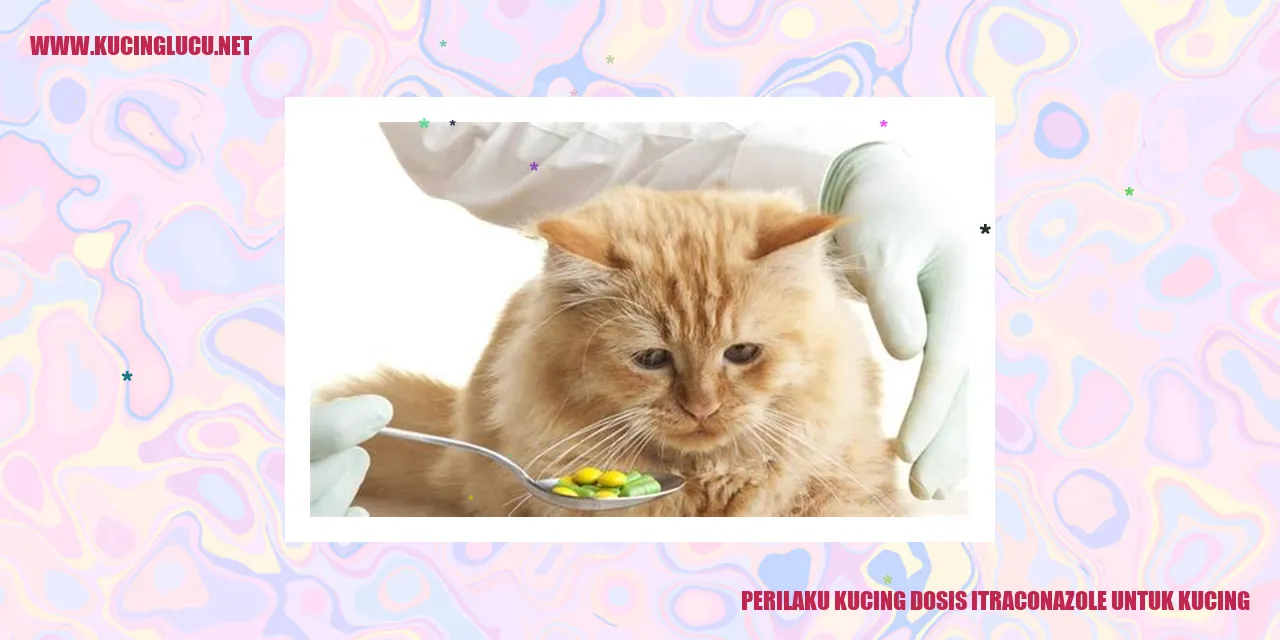 Kucing Mengkonsumsi Itraconazole