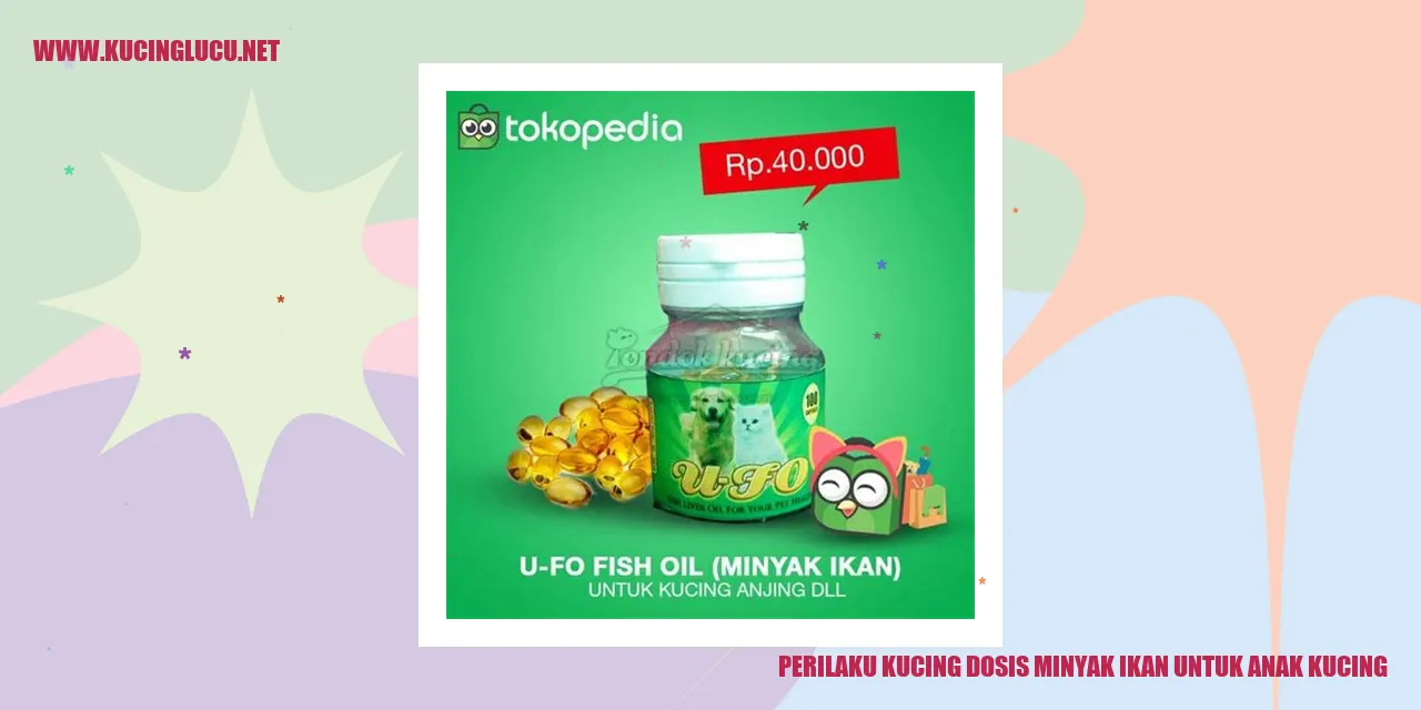 Gambar kucing mengonsumsi minyak ikan