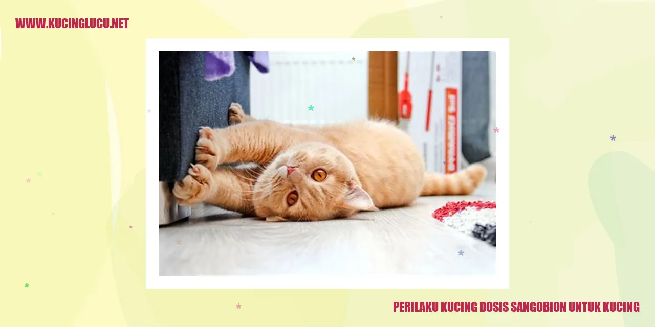 Perilaku Kucing Dosis Sangobion untuk Kucing