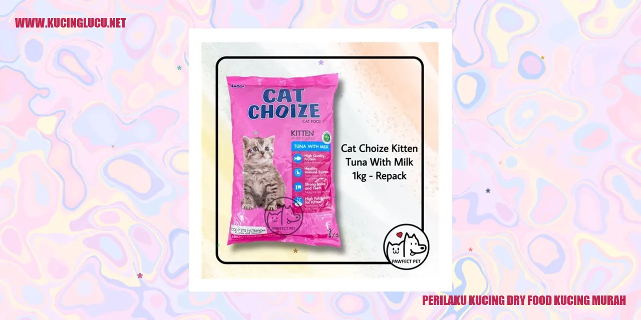 Gambar Kucing Menikmati Dry Food