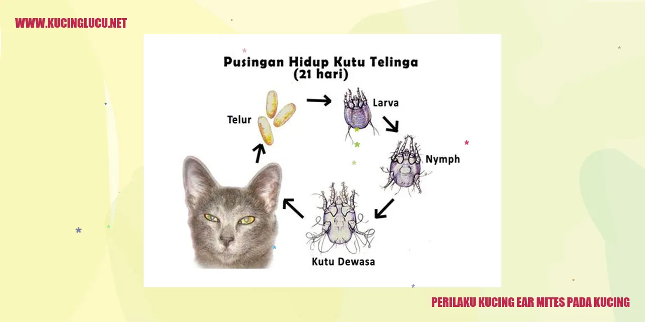 Perilaku Kucing ear mites pada kucing