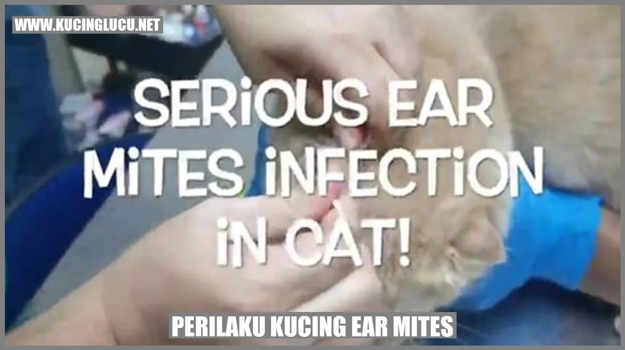 Gambar Kucing dengan Ear Mites
