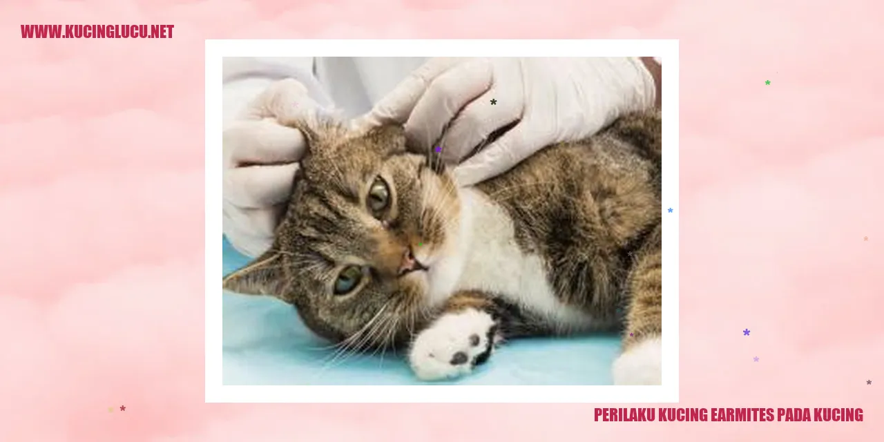 Perilaku Kucing earmites pada kucing