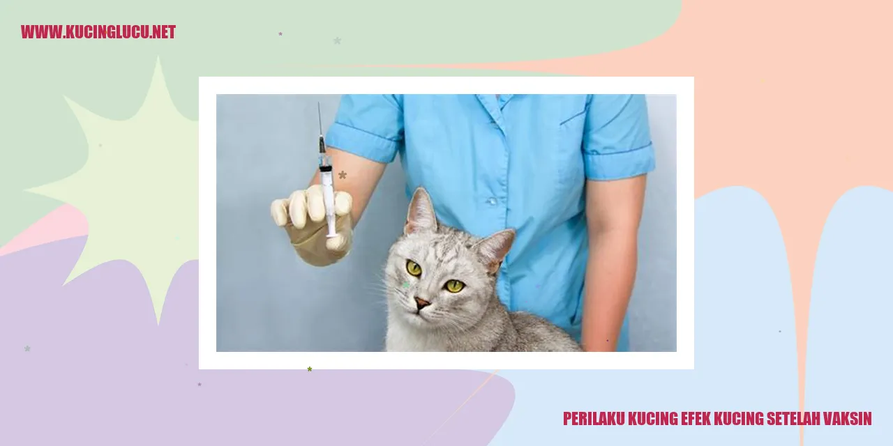 Gambar Kucing Setelah Vaksinasi