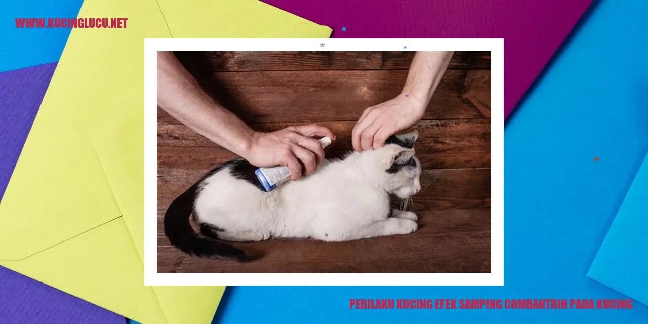 Perilaku Kucing efek samping combantrin pada kucing