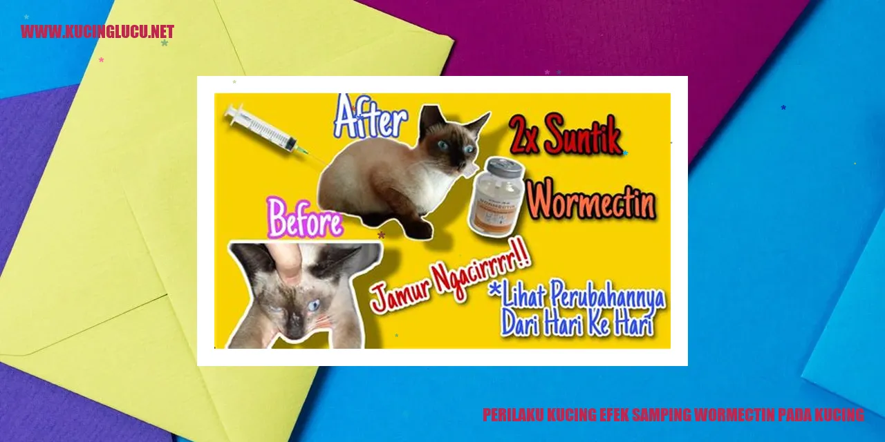 Gambar kucing