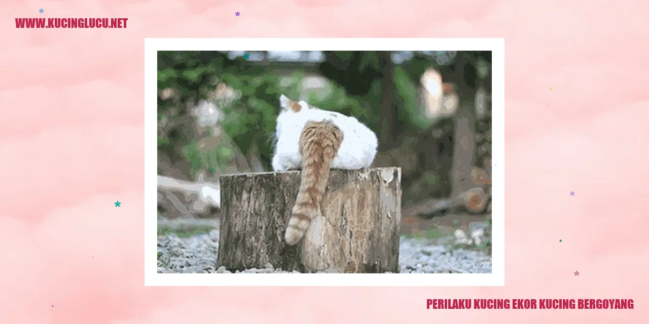 Kucing Bergoyang