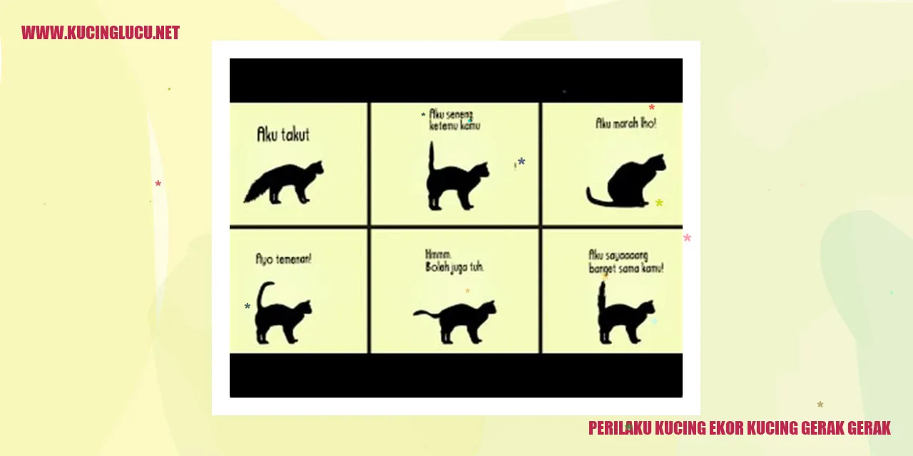Perilaku Kucing Bergelora