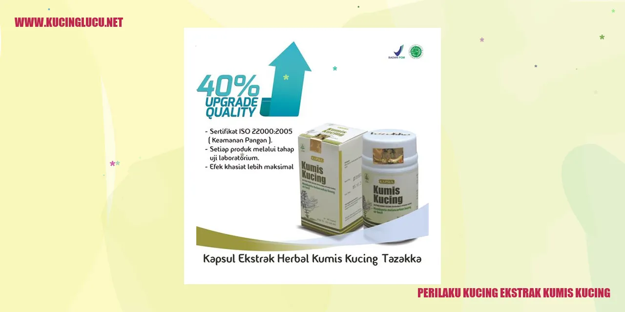 Kucing ekstrak kumis kucing
