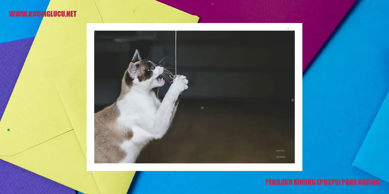 Perilaku Kucing Epilepsi pada Kucing