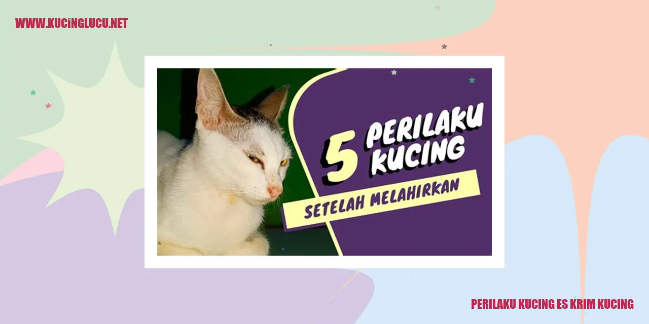 Perilaku Kucing Es Krim Kucing