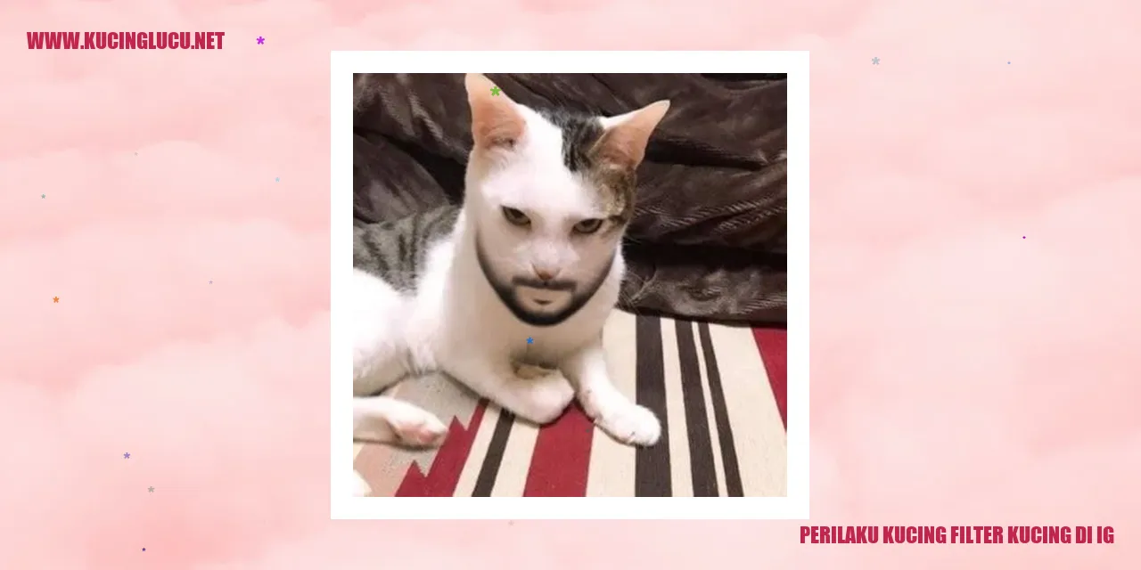 Perilaku Kucing filter kucing di ig