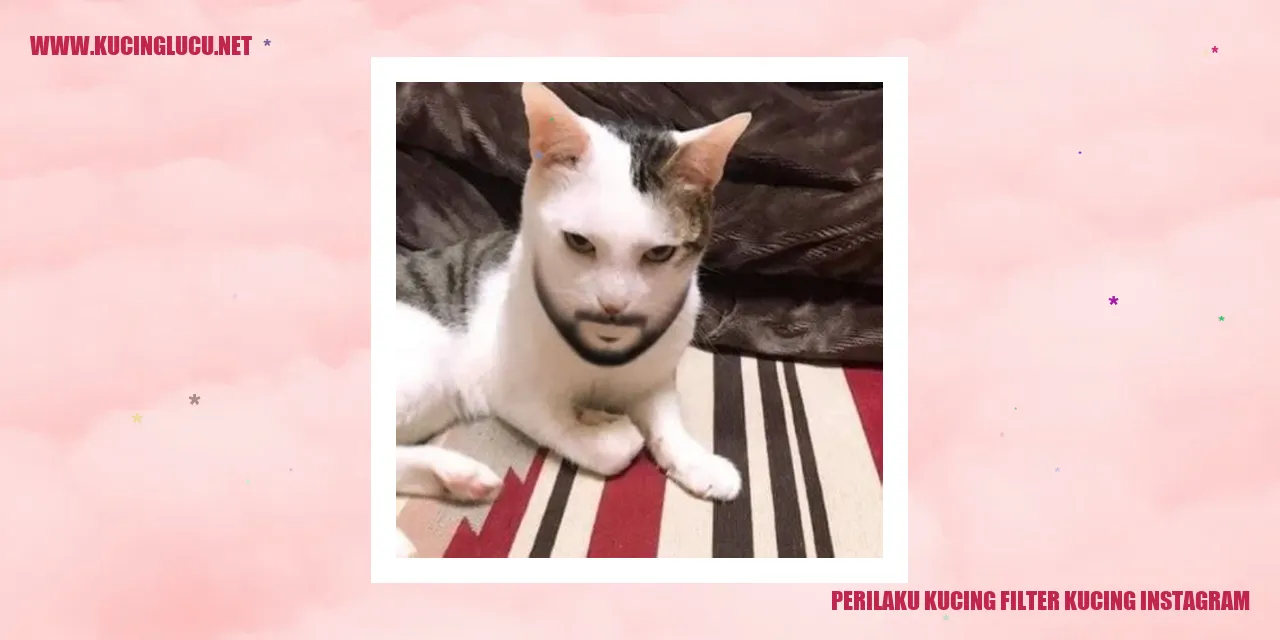 Kucing Menggunakan Filter di Instagram