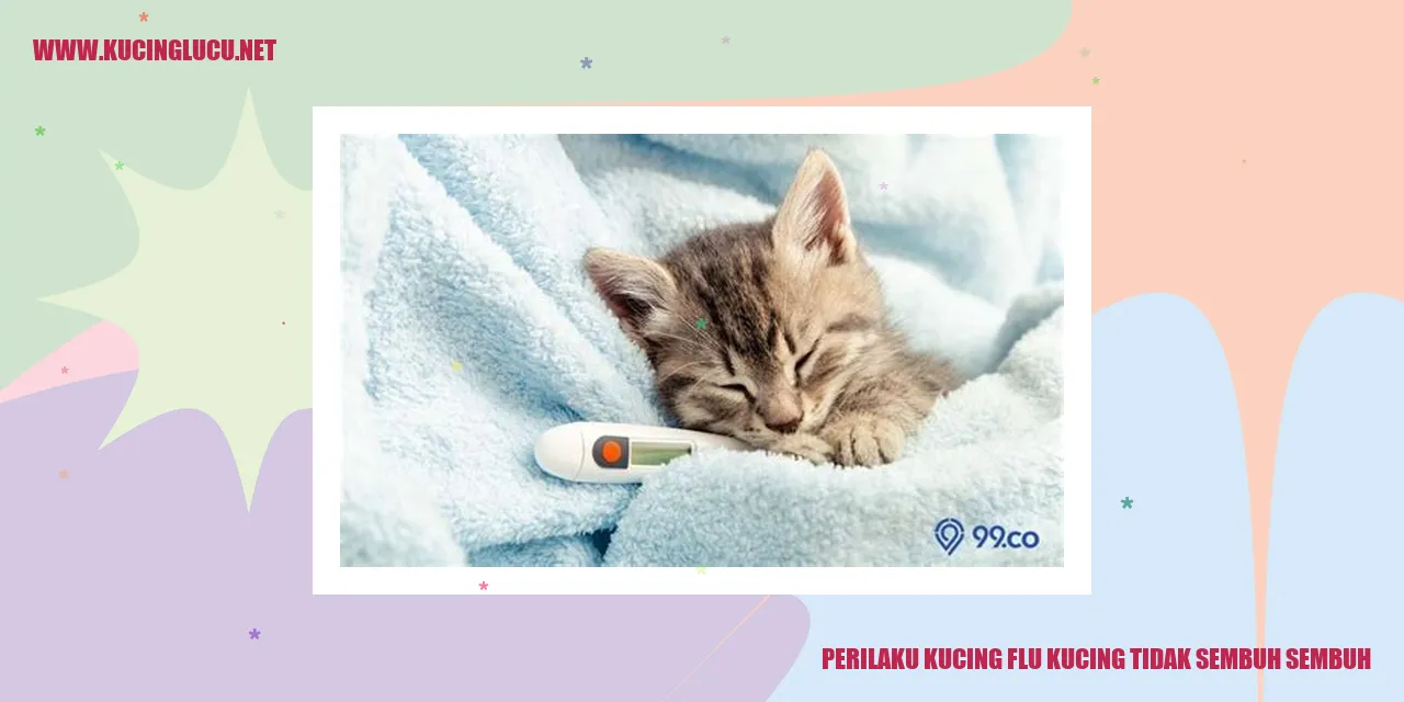 Perilaku Kucing