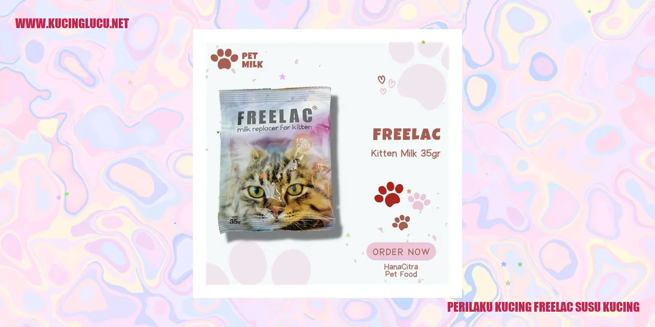 Perilaku Kucing Saat Minum Freelac