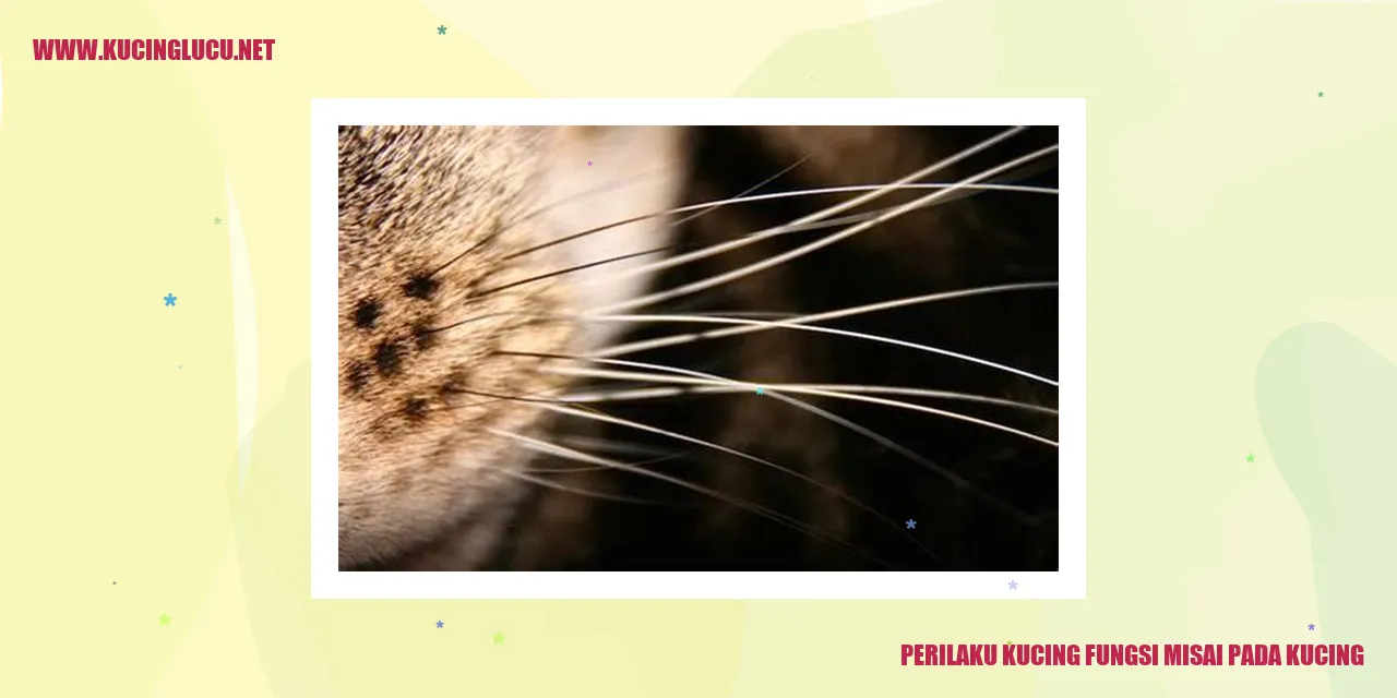 Gambar Kucing Yang Menarik