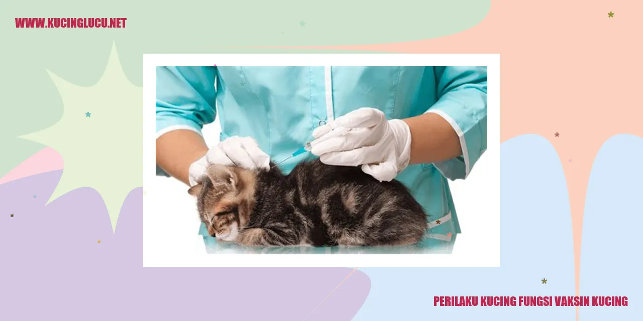 Perilaku Kucing dan Fungsi Vaksin Kucing