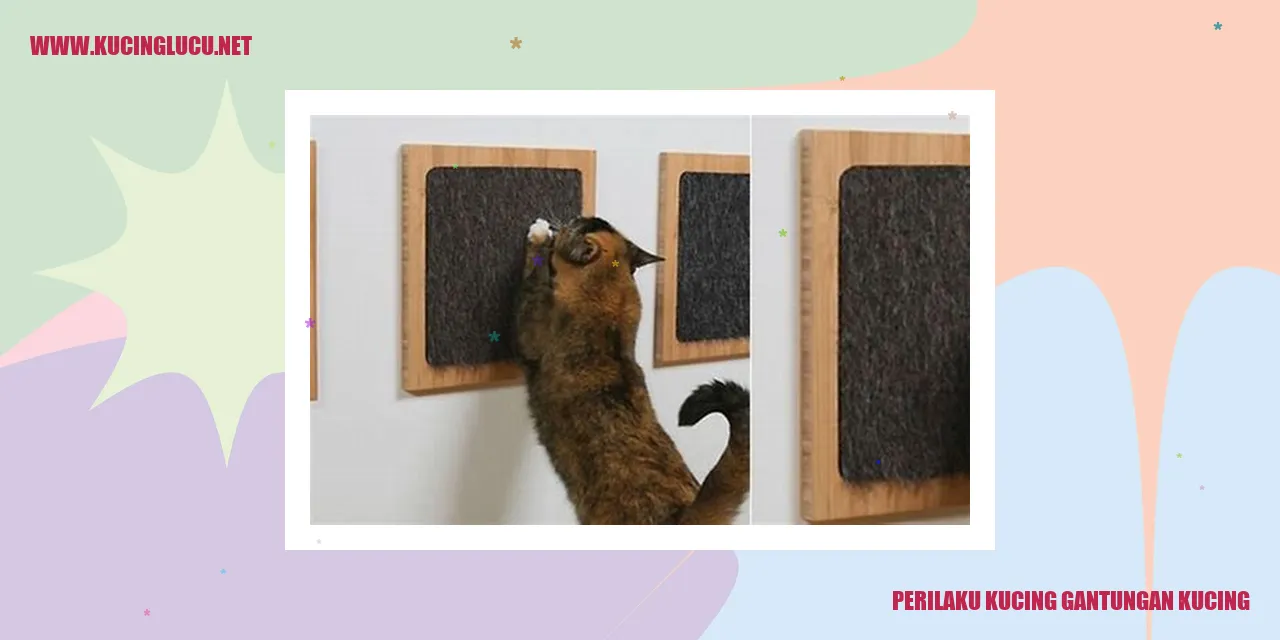 Perilaku Kucing Gantungan Kucing