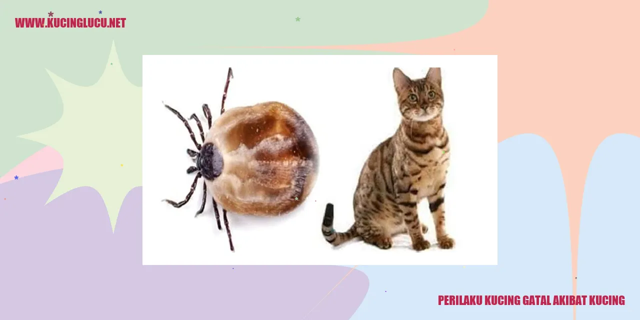 Perilaku Kucing Gatal Akibat Kutu