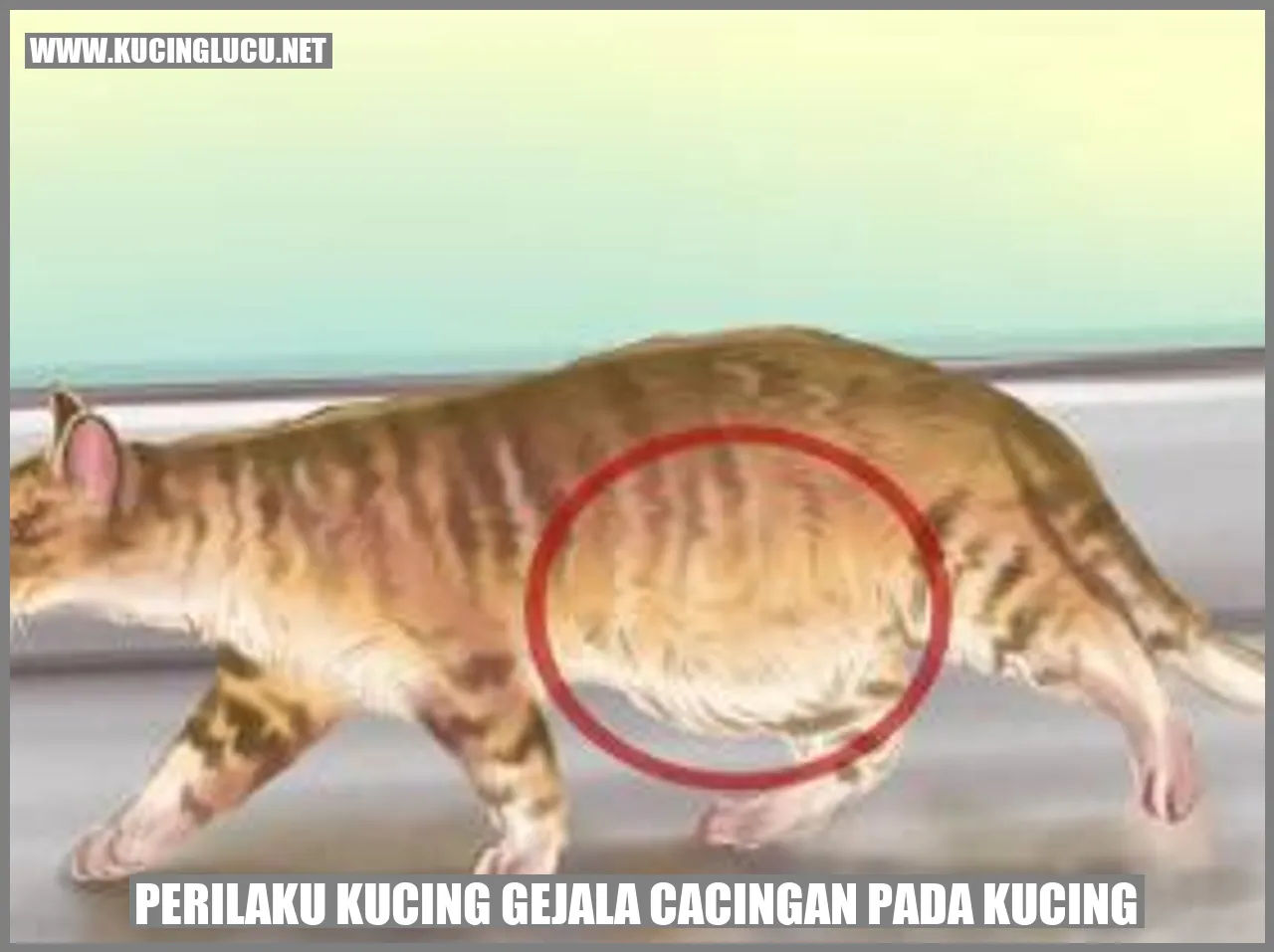 Perilaku Kucing gejala cacingan pada kucing