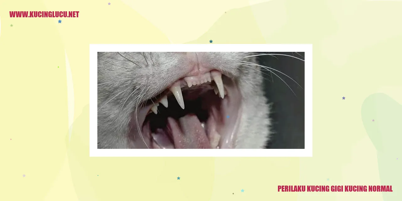 Gambar Kucing Menggigit