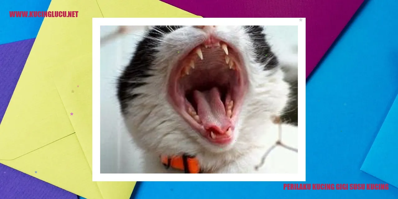 Perilaku Kucing Saat Mengganti Gigi Susu