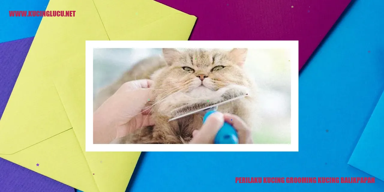 Grooming Kucing