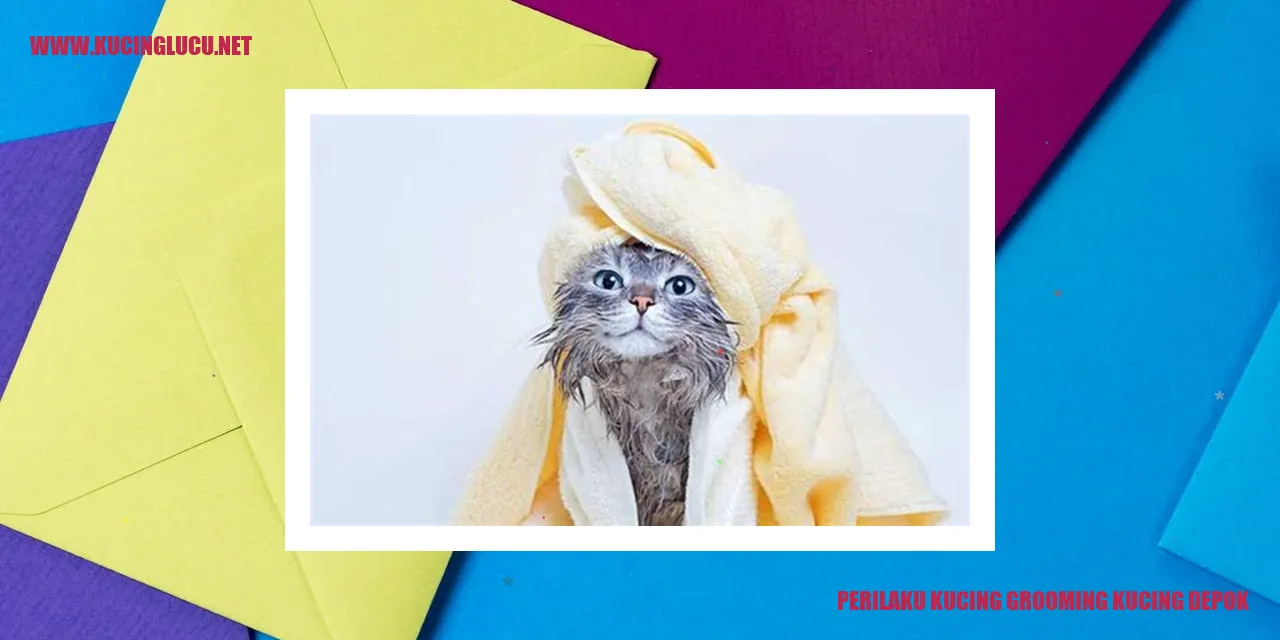 Perilaku Kucing Merawat Diri di Depok