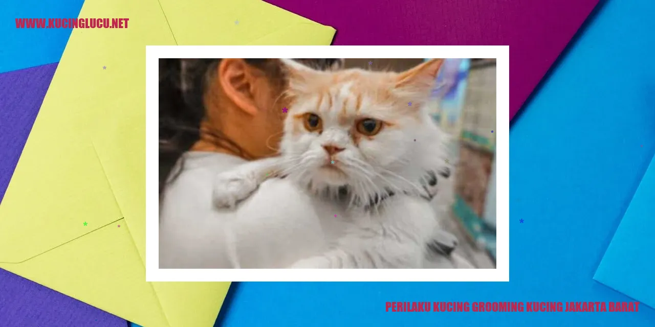Perilaku Grooming Kucing di Jakarta Barat