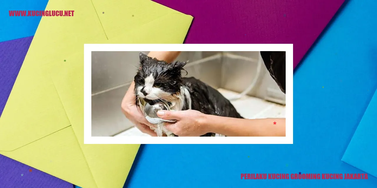 Kucing grooming di Jakarta