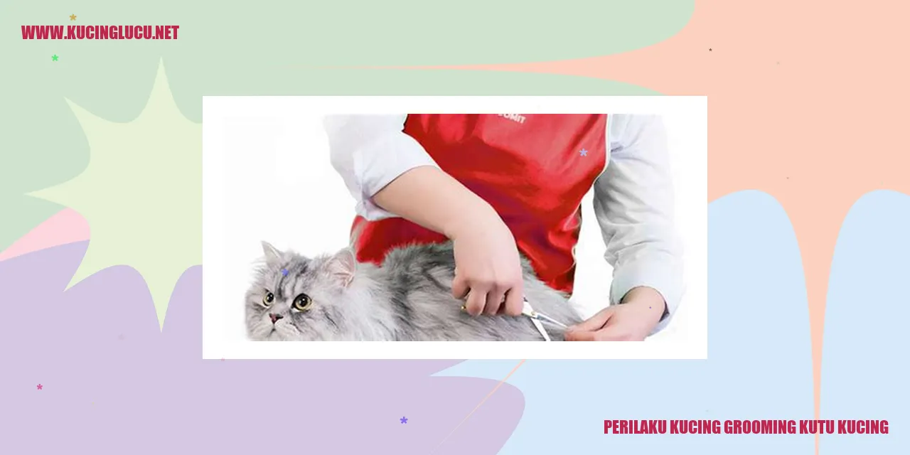 Kucing sedang Merawat Kutu Kucing